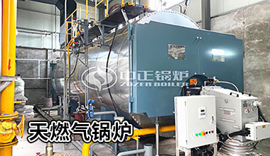 生物質(zhì)流化床鍋爐